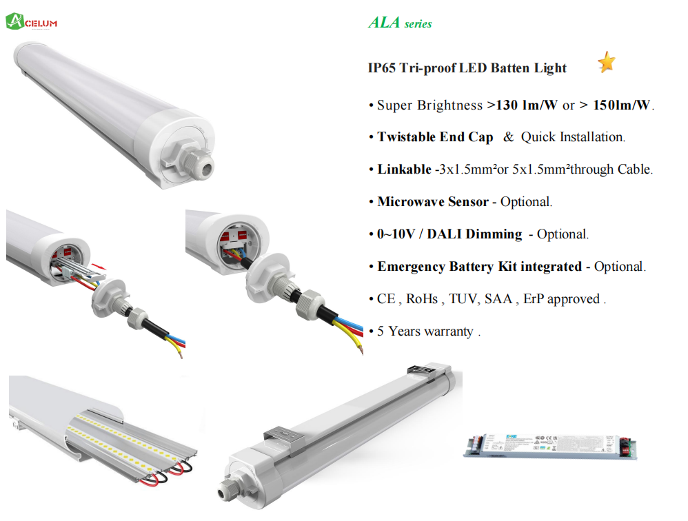 Armature Stagne LED.png