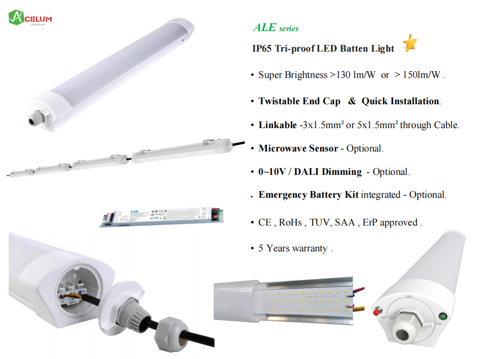 Armature Stagne LED.png