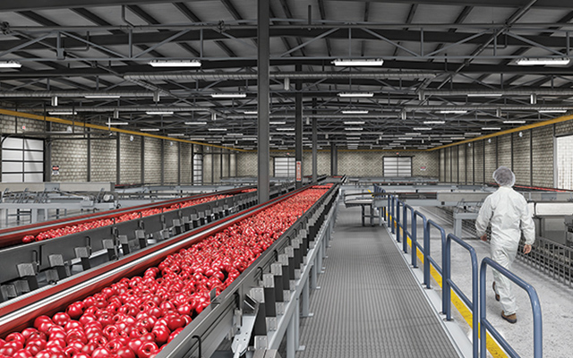 Application - Food and Pharmaceutical Industry